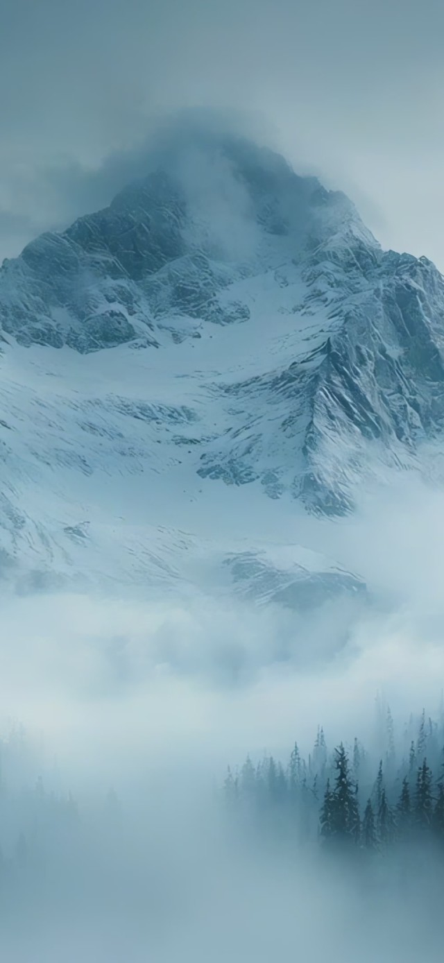 雾林雪山