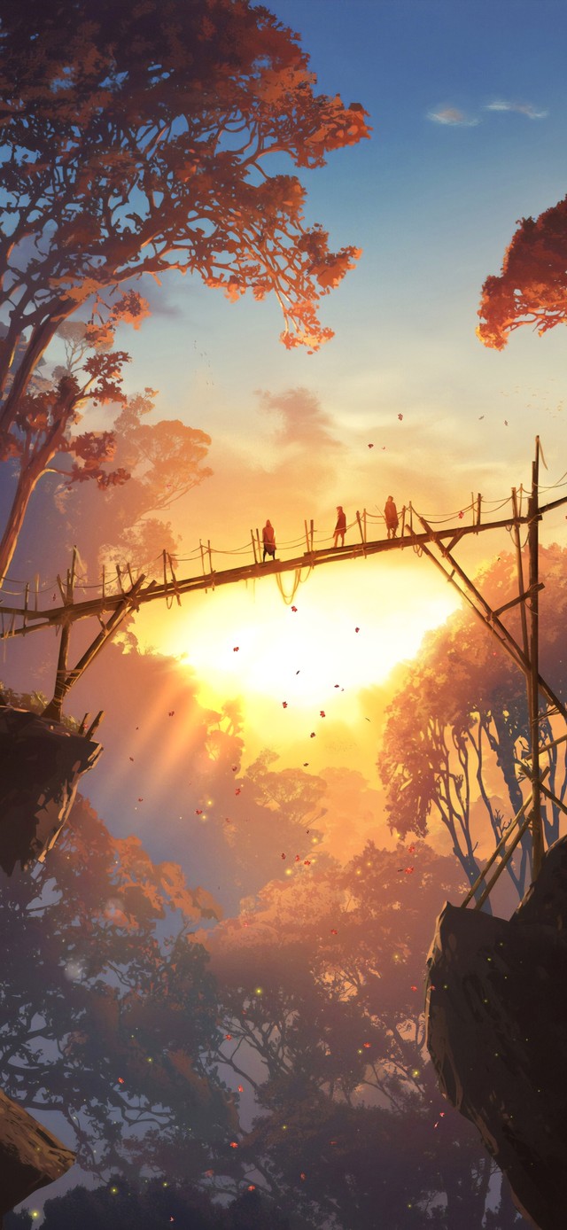 4K黄昏夕阳晚风枫叶飘落