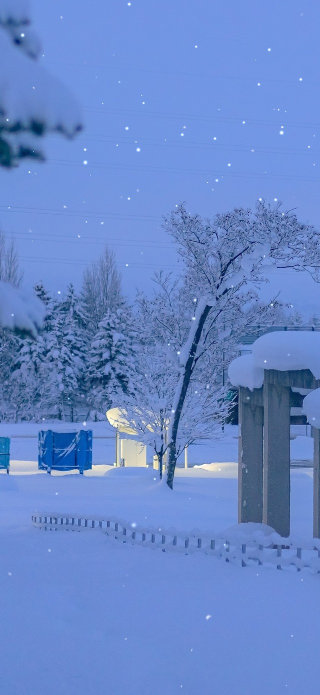 4K唯美冬季小路