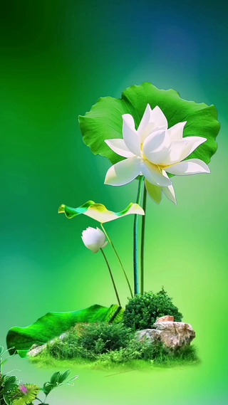 清新