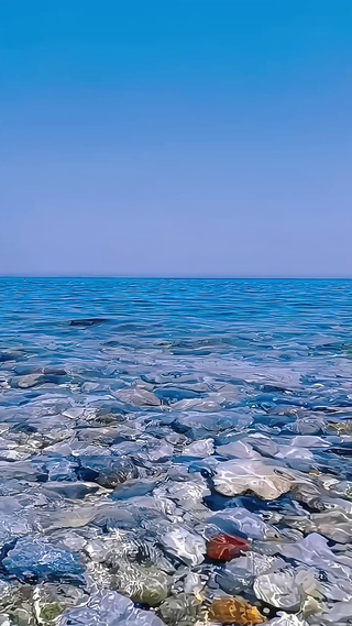 大海4k动态壁纸④