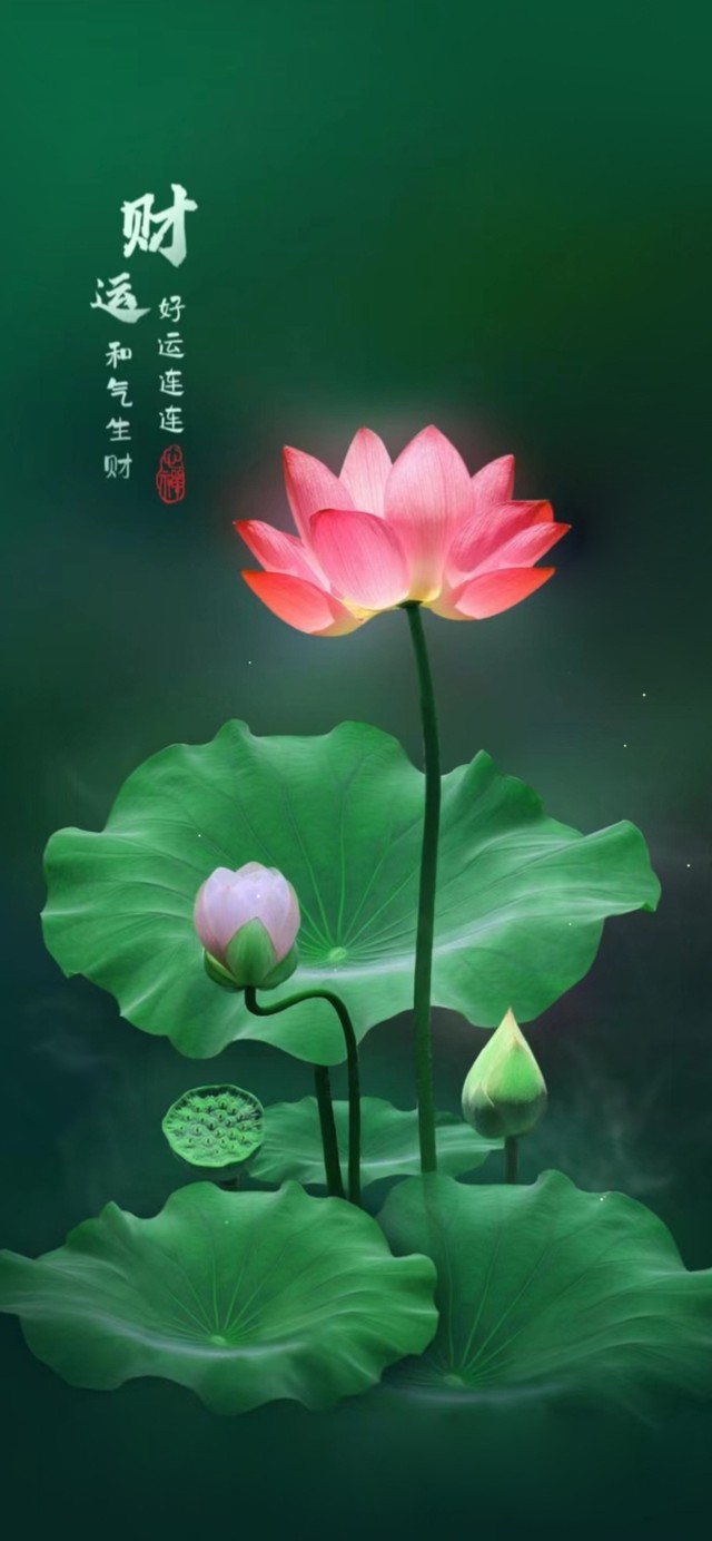 荷气生财