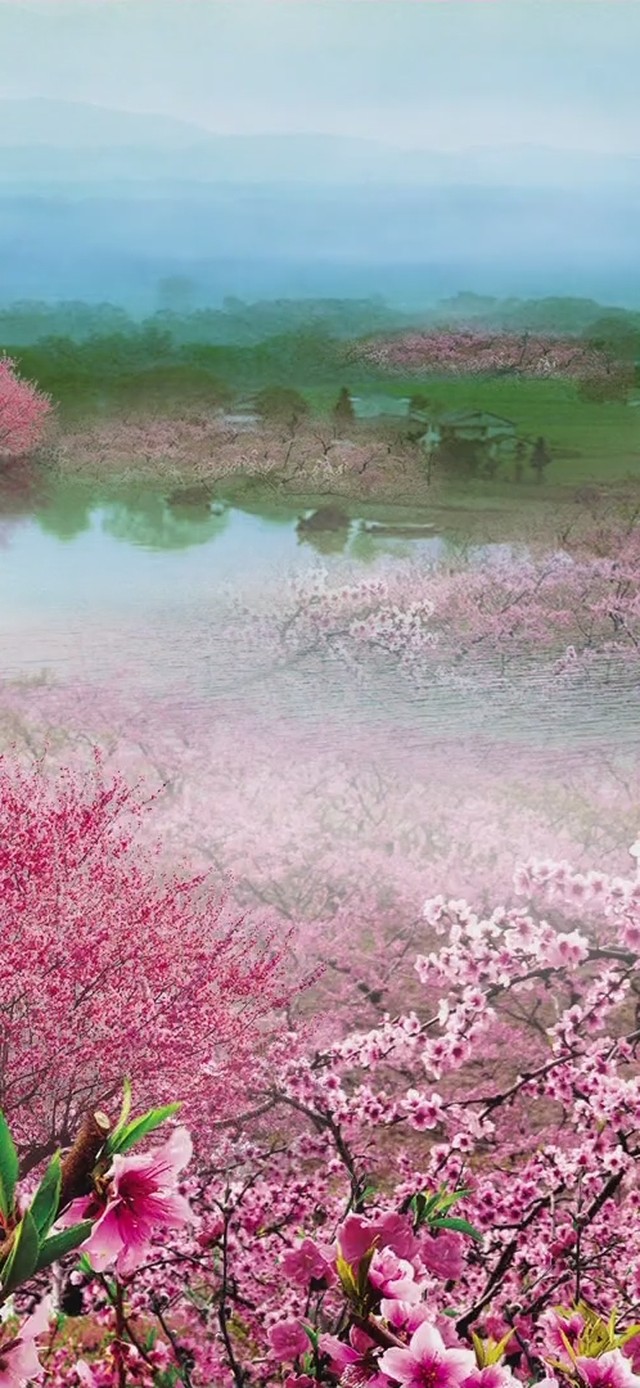 十里桃花