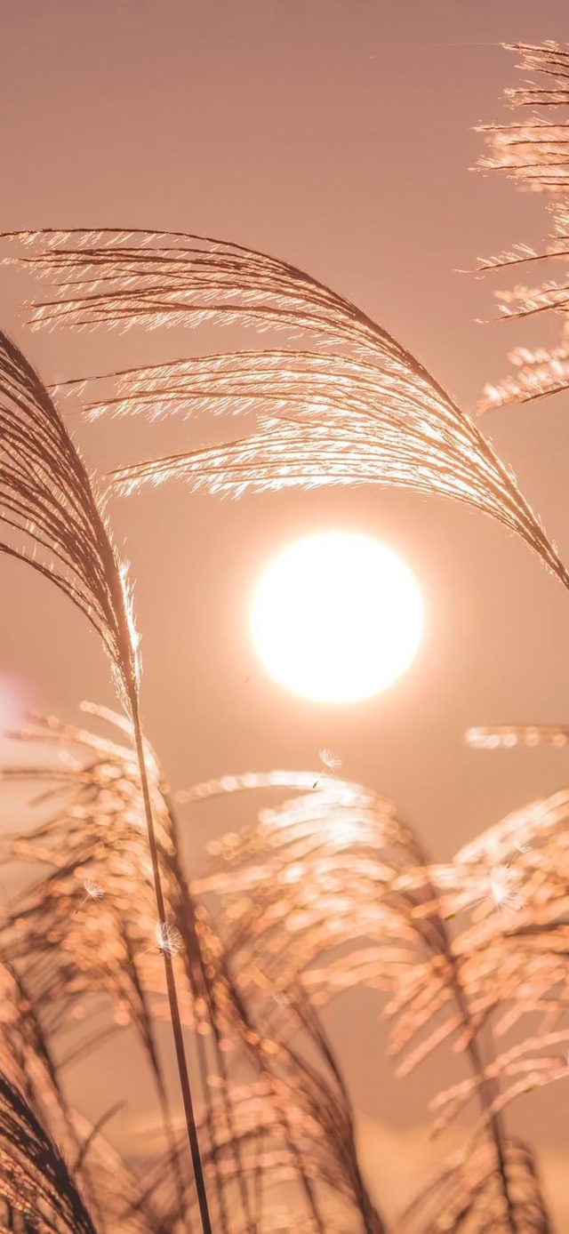 美好的一天（含真实时间）