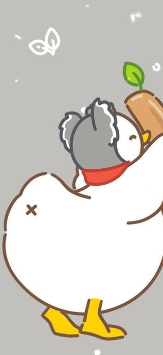 治愈鸭鸭与考拉