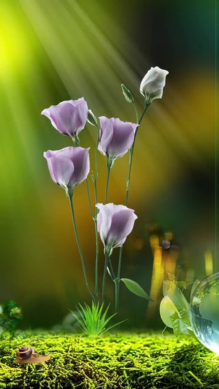 小花花