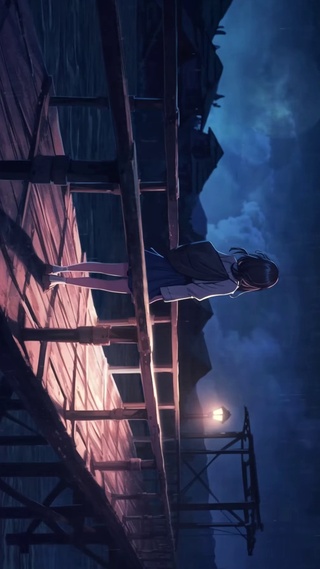 小桥夜雨