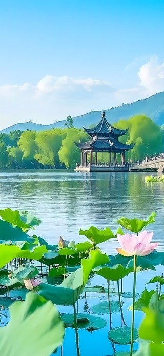 夏天的公园荷塘