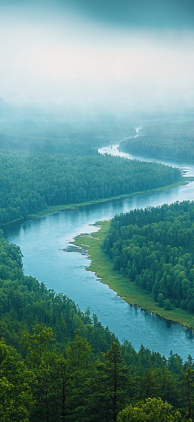 绿色护眼森林河畔