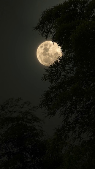 夜空月亮