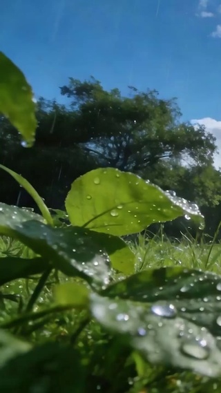 雨过天晴