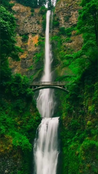 风景