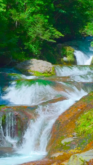 夏日绿林山涧