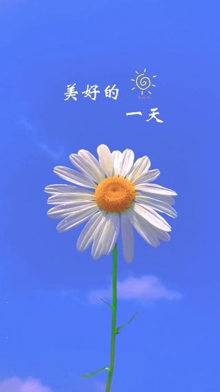 美好的一天