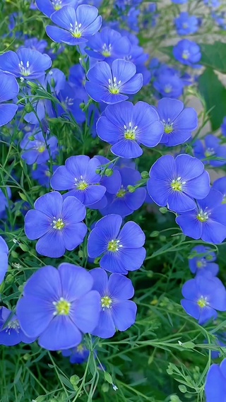遇景看景，见花赏花