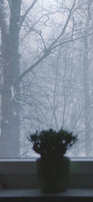 窗外雪景