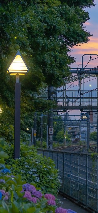 4K唯美治愈护眼风景