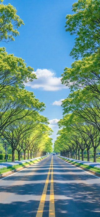 护眼林荫小道