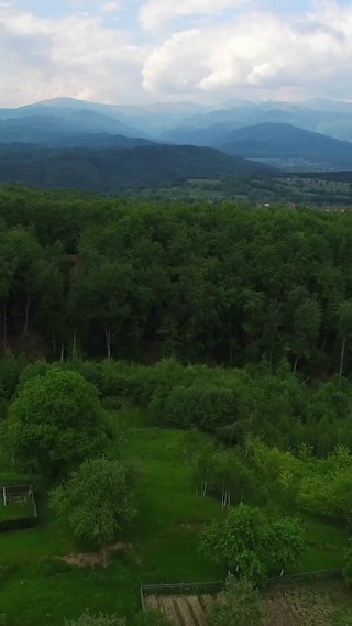 4K 高清  航拍绿色森林和山