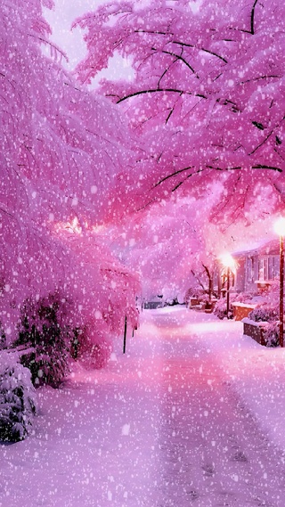 唯美雪景