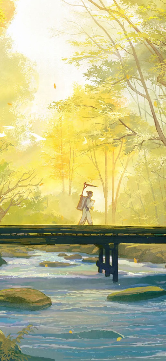 不思来处，不问归路