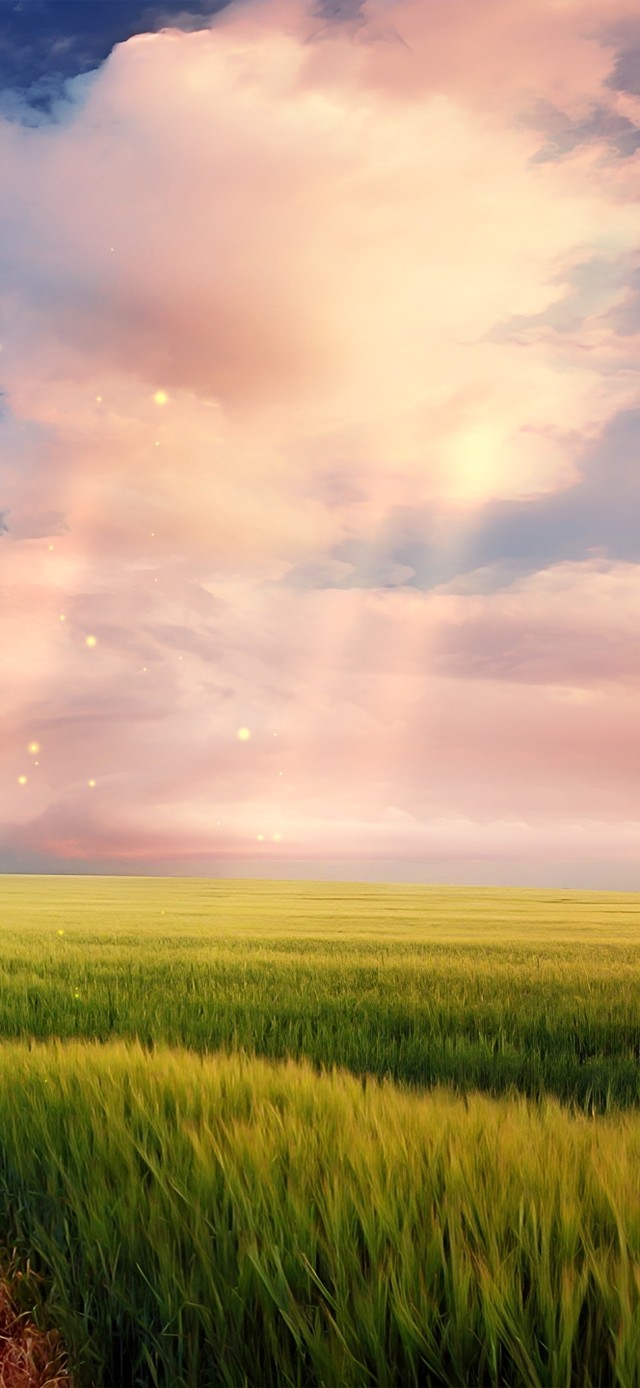 4k治愈晚霞麦田