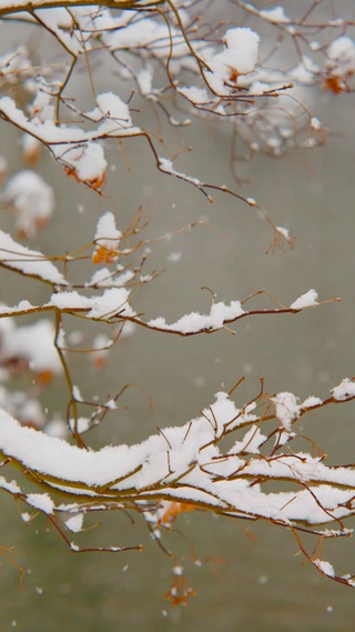 唯美冬雪