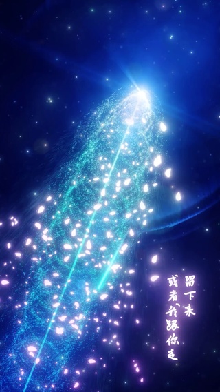 唯美留下来或者我跟你走