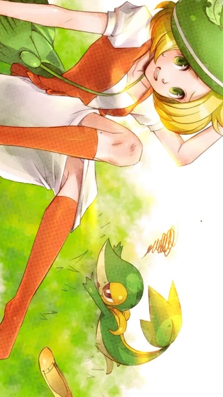 口袋妖怪训练师