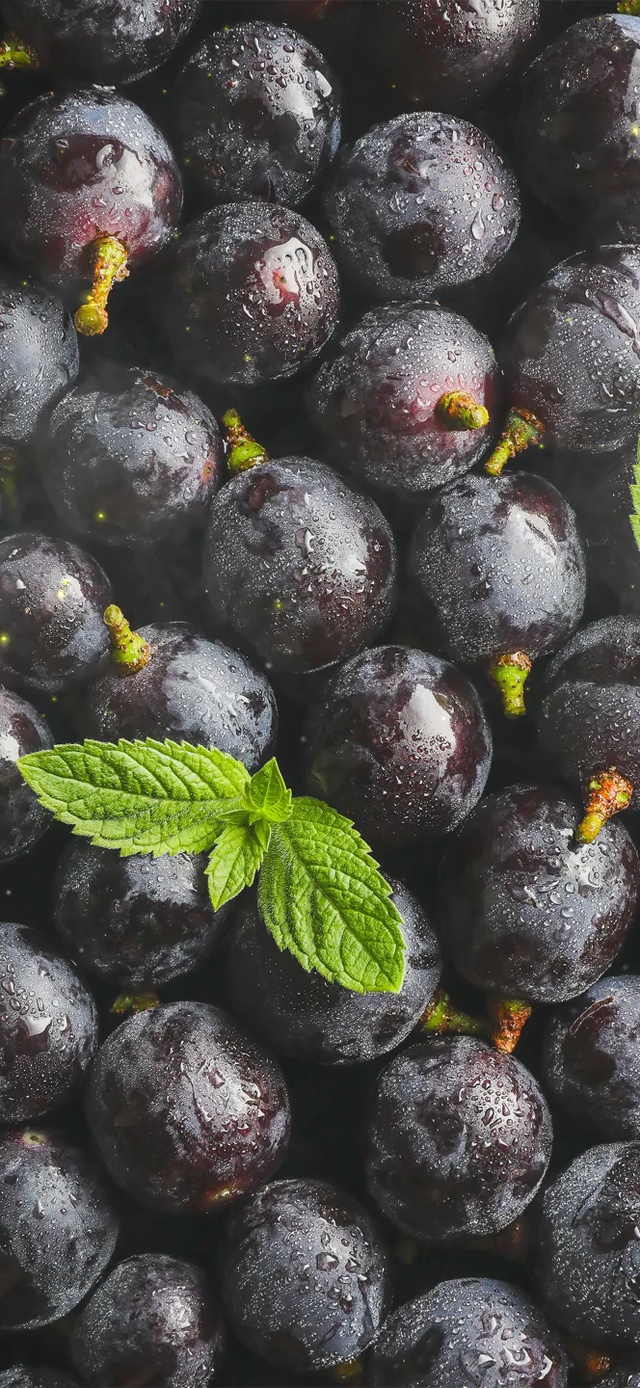 清新蓝莓