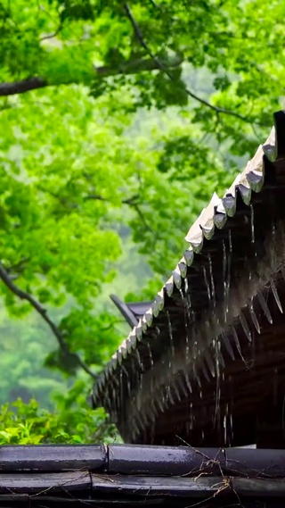 古庙屋檐雨
