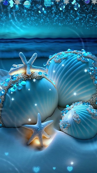 蓝色海滩贝壳
