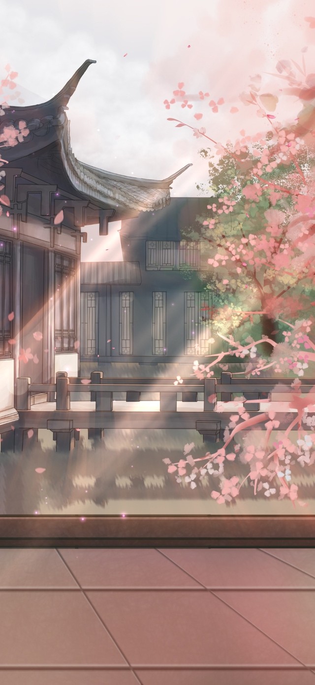 4K唯美国风樱花庭院