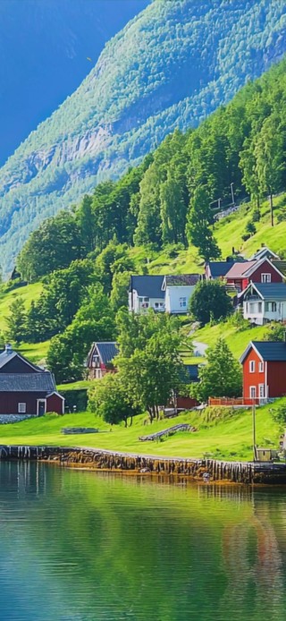 护眼绿景