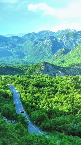 僻静山谷，飞鸟翱翔