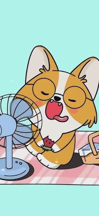 可爱治愈狗狗