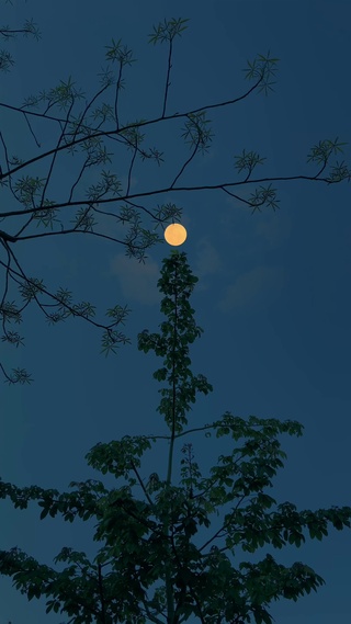 治愈系天空