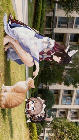 哥伦比娅逗猫