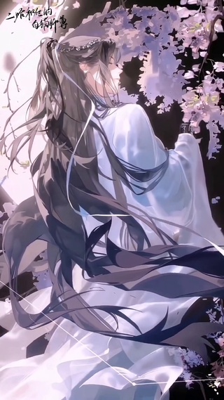 二哈和他的白猫师尊
-“人生何必常相伴，遥以相思寄东风”-