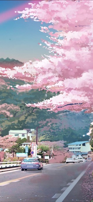 花落·归途