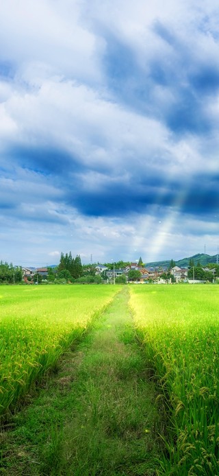 4k 治愈护眼乡村田园风景