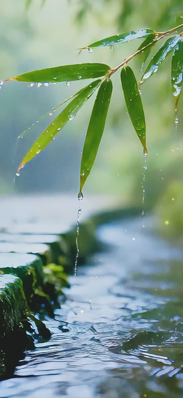 细雨竹林