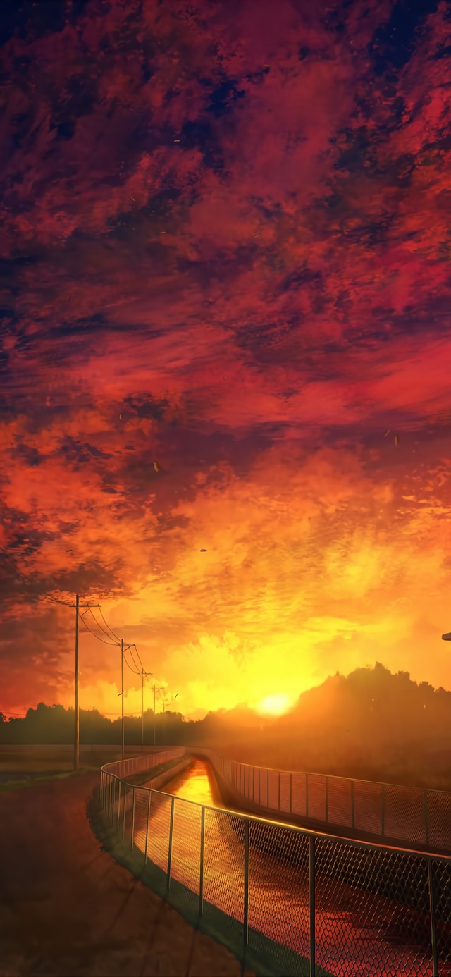 4K唯美夕阳