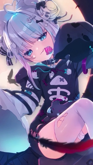 小白猫1
