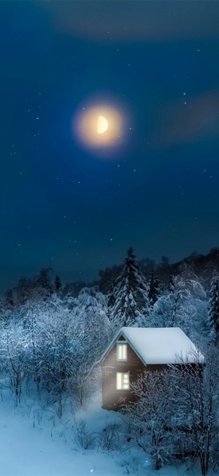 飘雪林中小屋