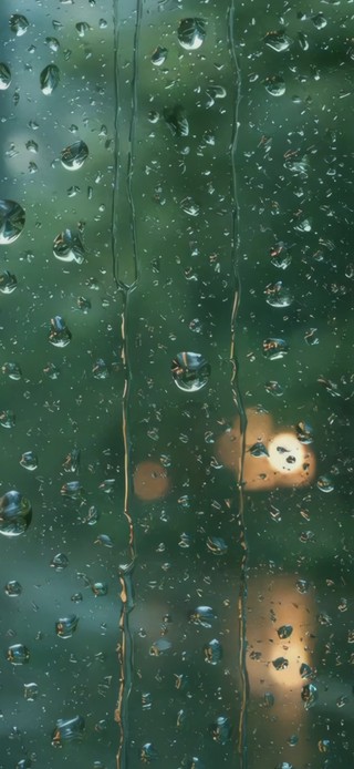窗雨凝珠