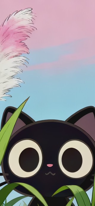 调皮可爱小黑猫