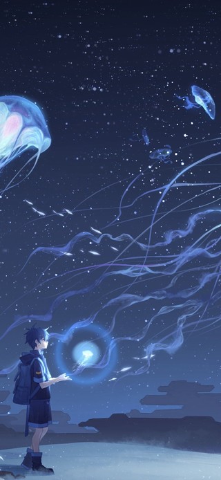 梦幻的世界