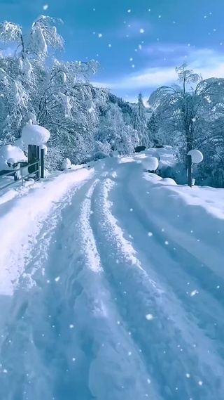 相约看雪