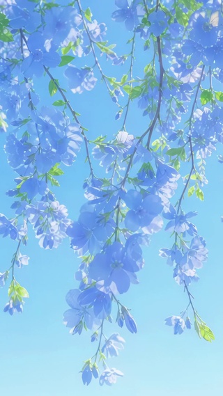 治愈蓝调